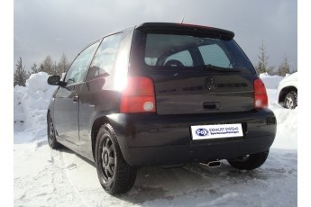 VW Lupo 6X Einddemper Uitgang midden - 130x50 Typ 52 FOX